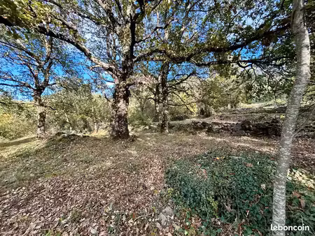 terrain constructible 1482 m² en terrasses et arboré