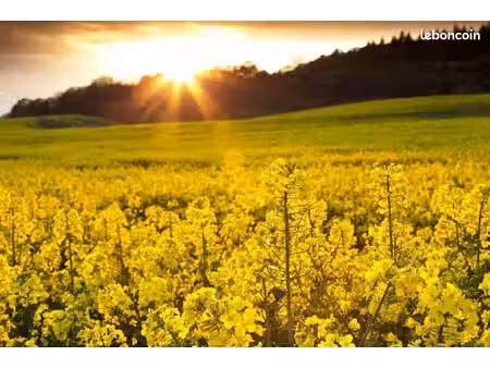 terrain 744 m² brienne sur aisne