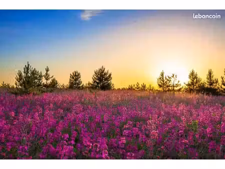 terrain 889 m² brienne sur aisne