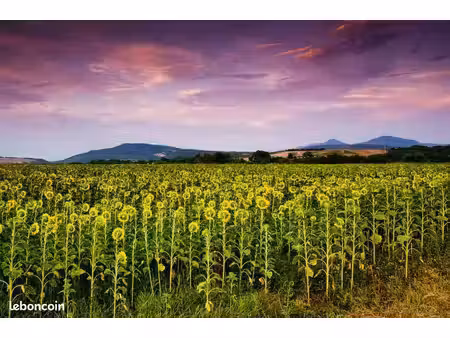 terrain 1 169 m² lonny
