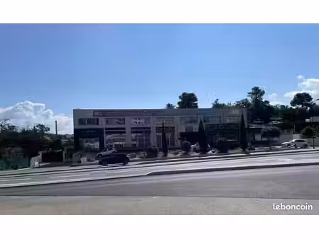 local 740 m² ajaccio