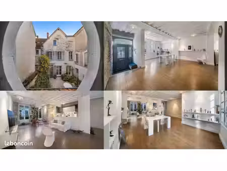 maison de ville au caractère exceptionnel  joigny