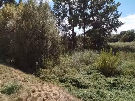 parcelle boisee