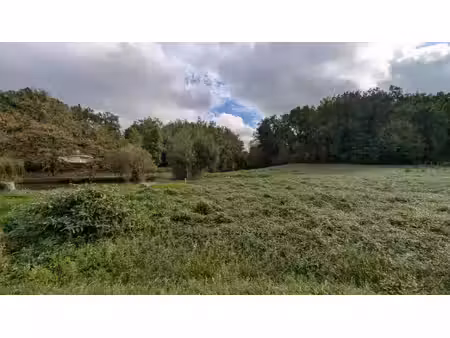 terrain entre mussidan et périgueux 8400 m2