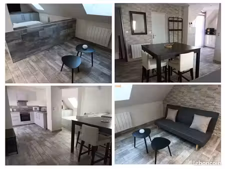 tres joli loft entierement meuble