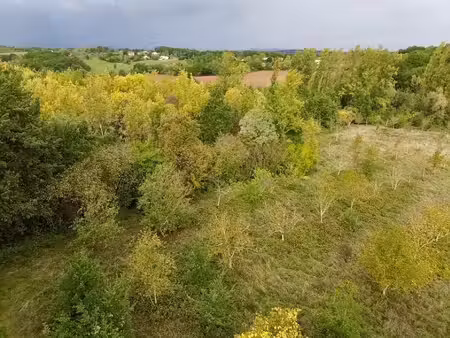 maison à rénover avec bois et fruitiers