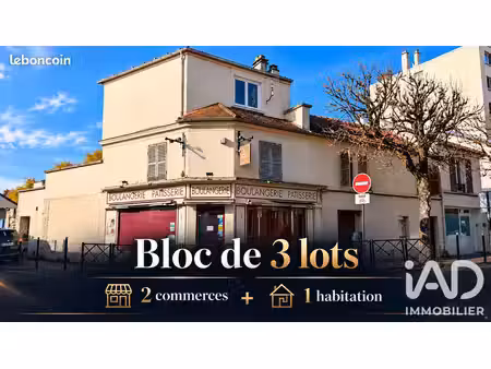 immeuble 309 m² saint-maur-des-fossés