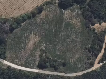 vente terrain agricole ( vigne )