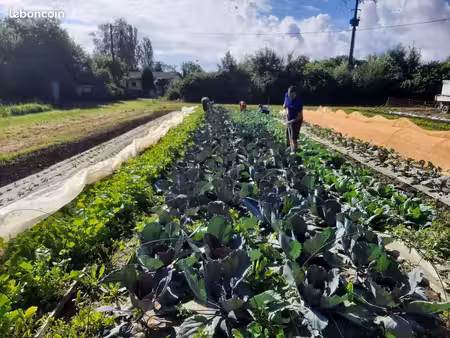 micro ferme maraichère