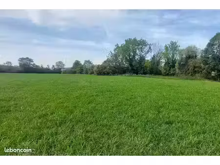 terrain vatagna-montaigu