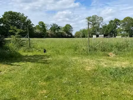 propriété de 7000m2 en campagne