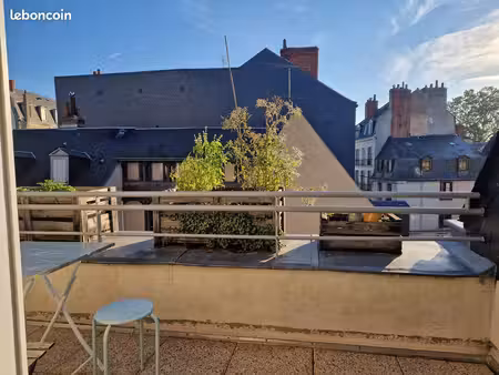appartement 2 /3 pièces hypercentre de tours avec terrasse