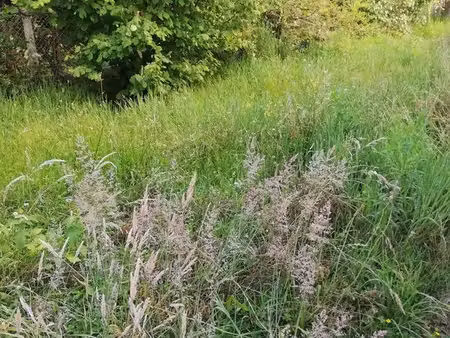 terrain à bâtir de 590 m² à bordeaux (33)