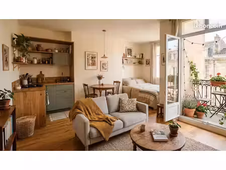 appartement 1 pièce 45 m²