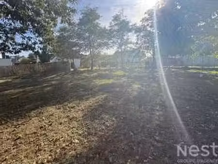vente terrain à pluvigner (56330) : à vendre / 481m² pluvigner