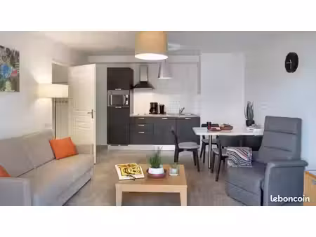 appartement 1 pièce 45 m²
