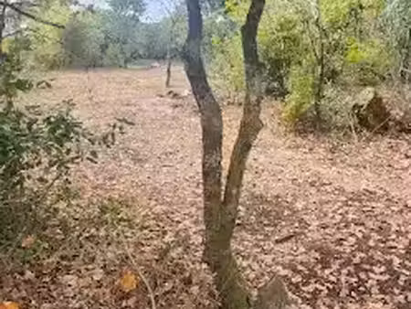 vente terrain 1000 m² à saint-médard-en-jalles (33160)  200 000 €