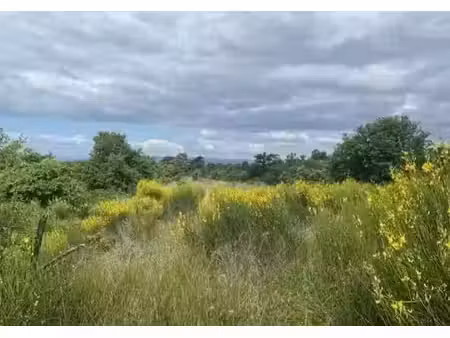 vente terrain 1280 m² à montéléger (26760)  320 000 €