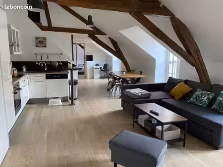 location meublée loft de standing à orléans