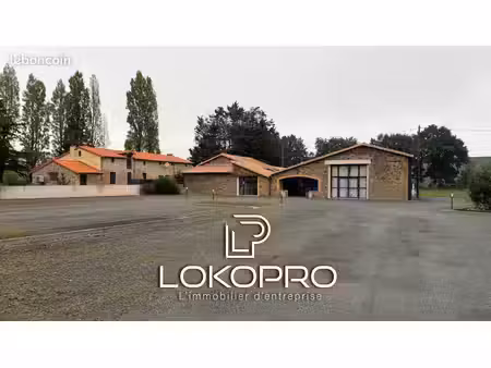 local 12000 m² cholet