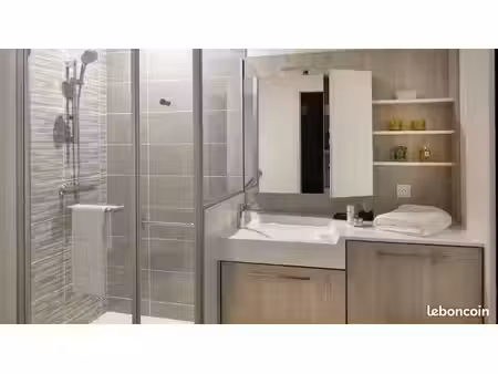 appartement 1 pièce 45 m²