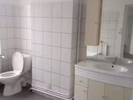 grand f3 de caractère - lunéville - proche toutes commodités - refait à neuf