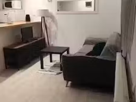 location meublée appartement 2 pièces 30 m² à saint-etienne (42000)  460 €