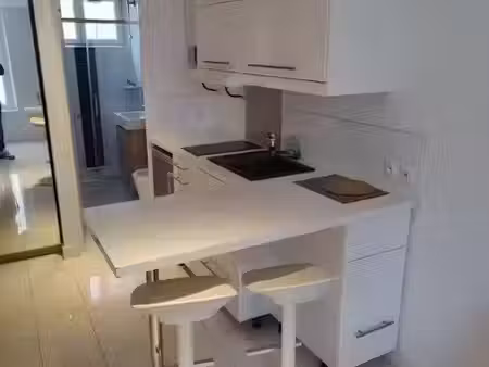 location meublée appartement 1 pièce 18 m² à saint-germain-en-laye (78100)  650 €