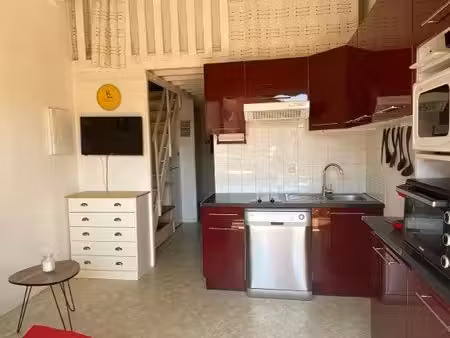 appartement climatisé de 36 m² avec parking privé / nov à juin