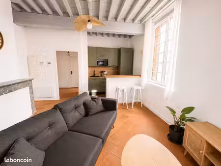 appartement t2 43m2 rénové et entièrement meublé - place nationale