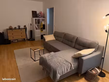 appartement 2 pièces 46m²