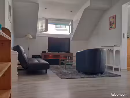 grand t2 lumineux de 50m² carrez (67m² au sol) avec jardin au cœur d'annecy