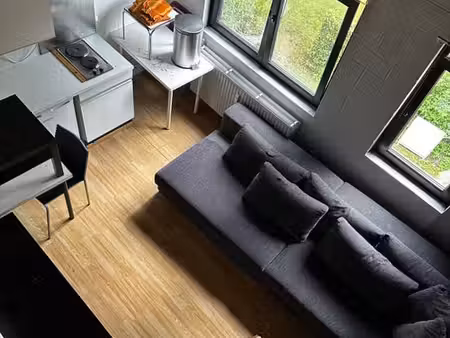 charmant petit appartement avec mezzanine très lumineux