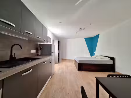appartement 1 pièce(s) 29.5 m2 meublé