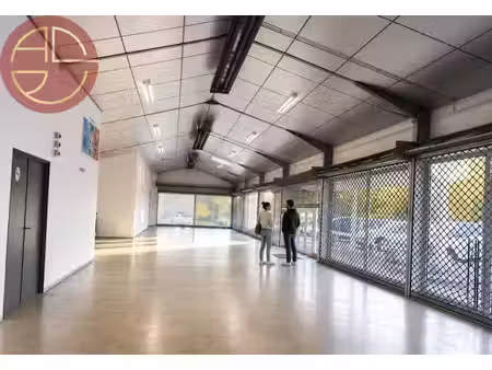 location commerce muret 31600 250m²
