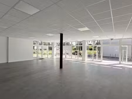 vente commerce montech 82700 264m²