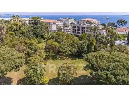 appartement cannes - 3 chambres - 105m²
