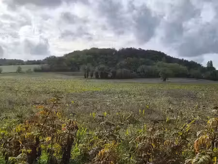 vente terrain 1850 m² à chenaud (24410)  19 600 €