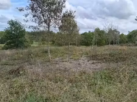 vente terrain 2534 m² à puymangou (24410)  32 500 €