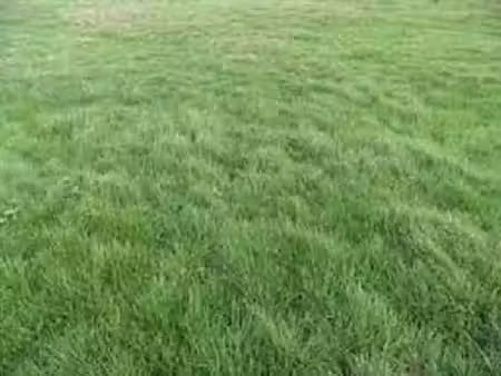 vente terrain 693 m² à château-landon (77570)  47 000 €