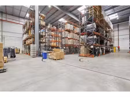 location entrepôt brie comte robert 77170 4250m²