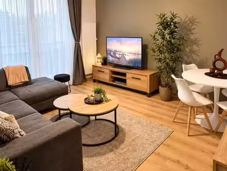 appartement 1 chambre rénové à bruxelles
