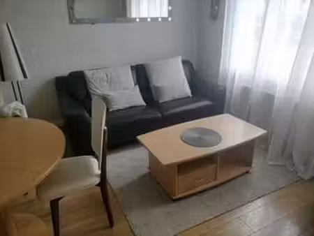 location appartement 3 pièces meublé à villeurbanne (69100) : à louer 3 pièces meublé / 53