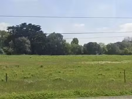 vente terrain à saint-hilaire-de-riez (85270) : à vendre / 1318m² saint-hilaire-de-riez