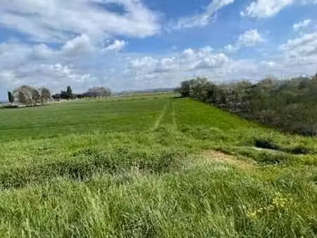 vente terrain à lafitte-vigordane (31390) : à vendre / 1177m² lafitte-vigordane
