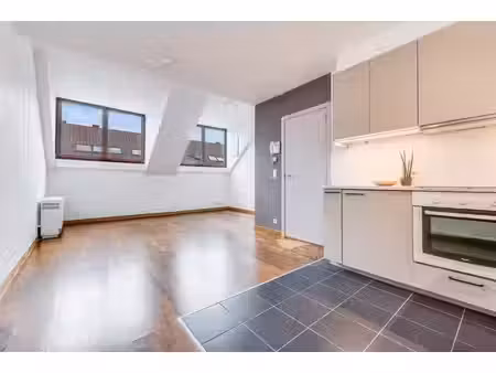 appartement 2 chambres + p