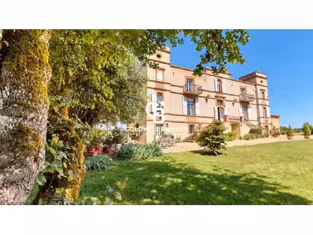 vente château 18 pièces