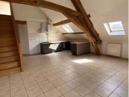appartement 54m2 hypercentre de sens