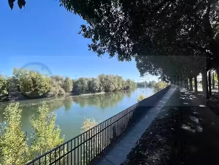 vente appartement 2 pièces 60.08 m² à toulouse (31000)  239 200 €