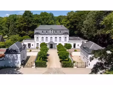 mons - château de caractère avec dépendances
